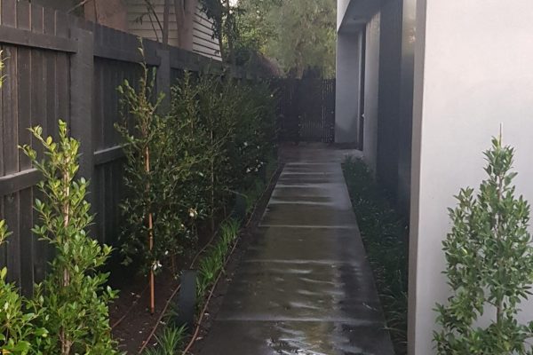 Elsternwick side Elsternwick side